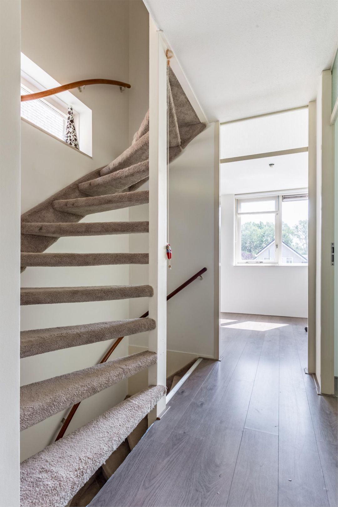 Photo 37 of Florazoom 9