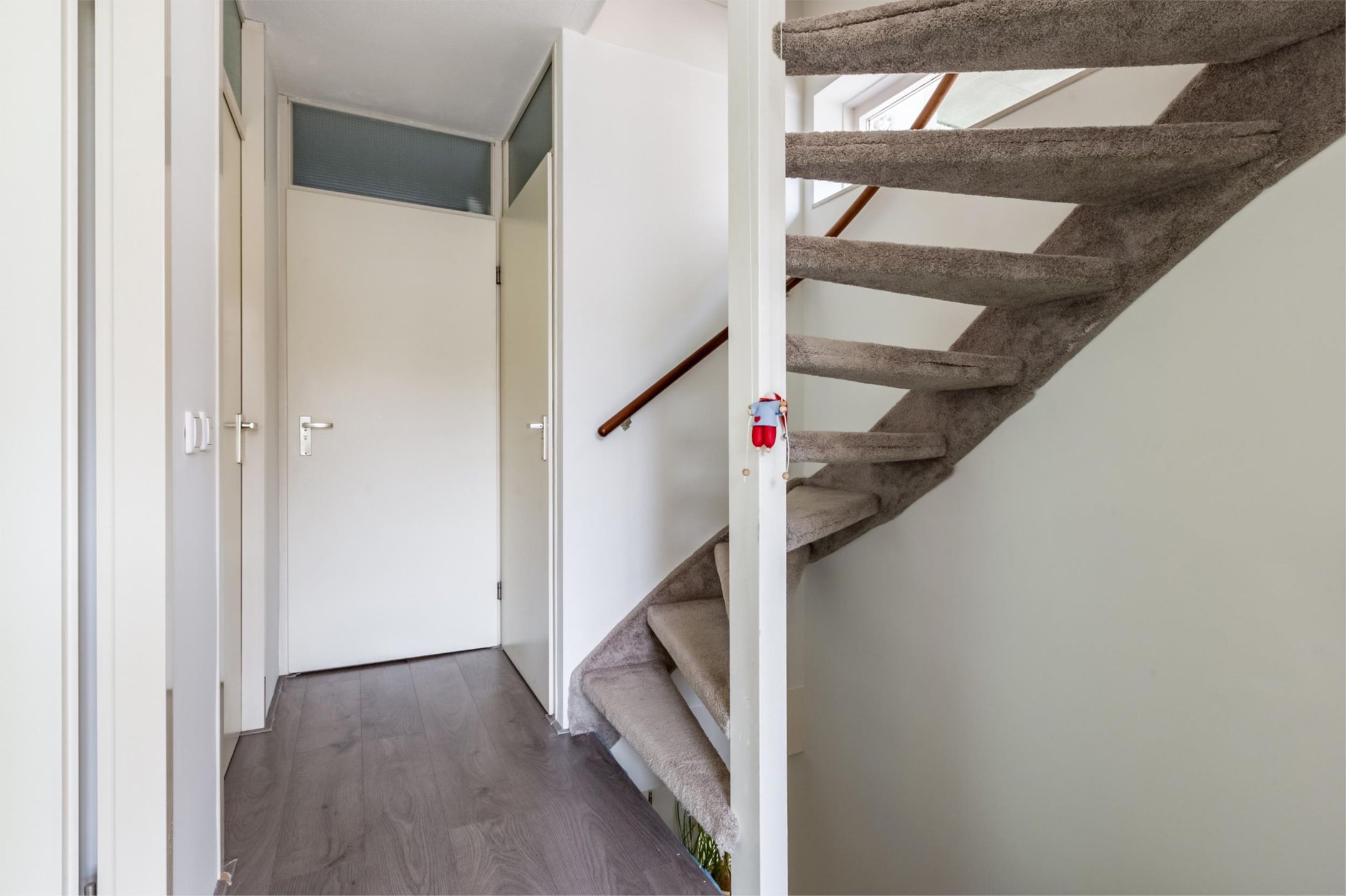 Photo 36 of Florazoom 9