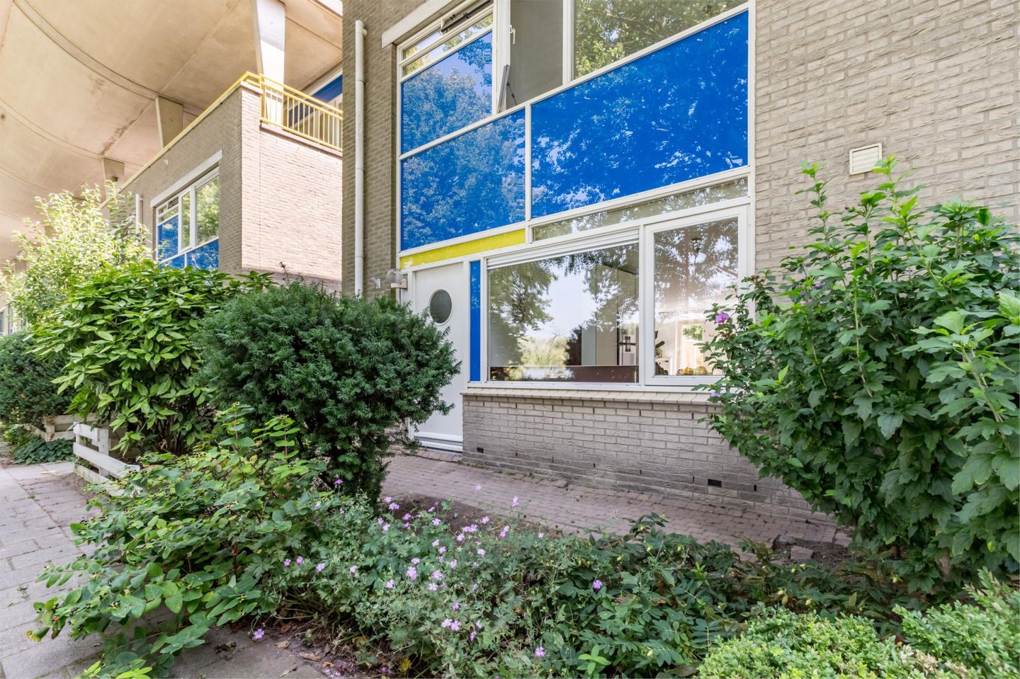 Photo 5 of Florazoom 9