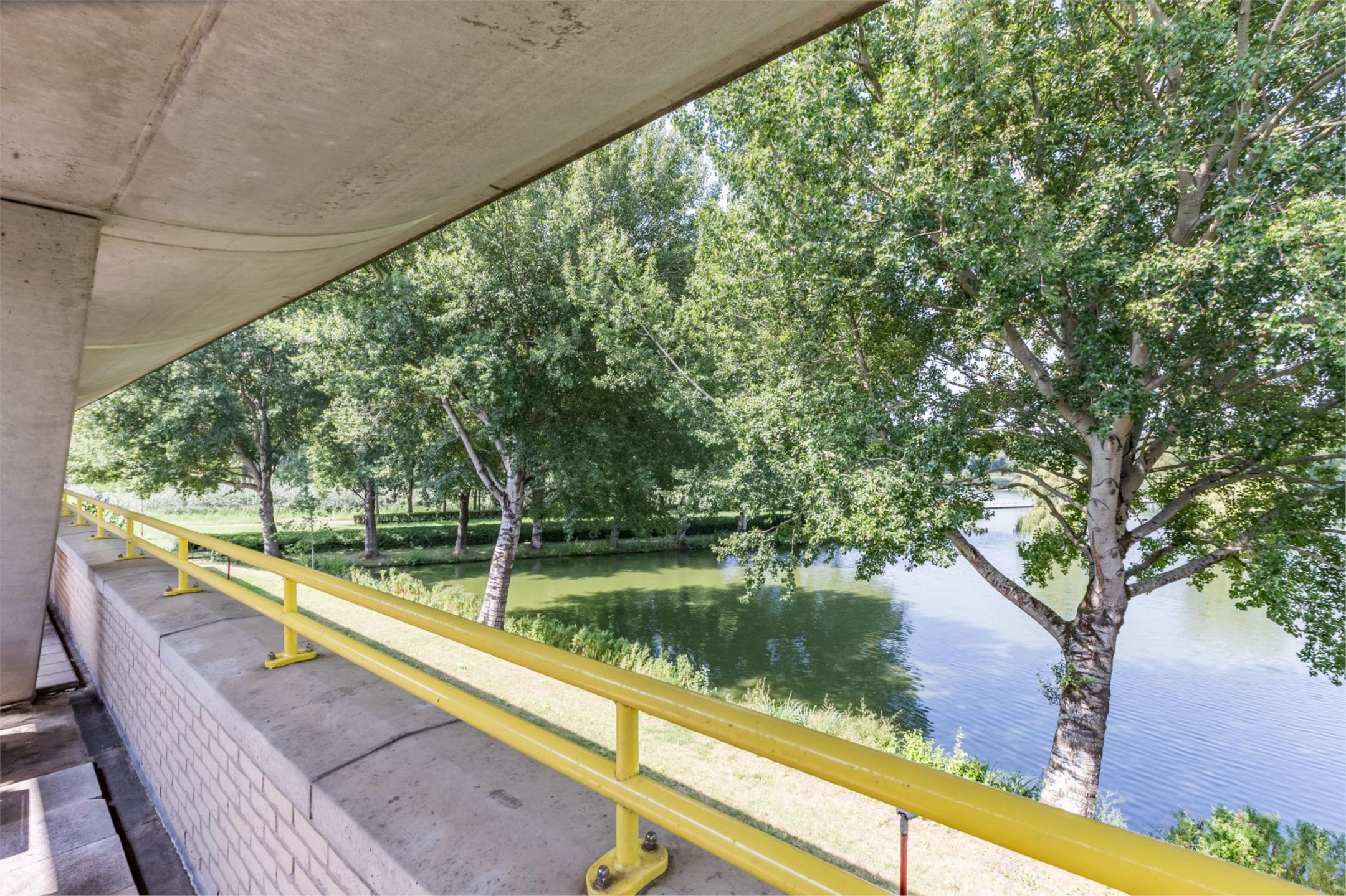 Photo 45 of Florazoom 9