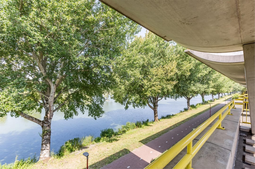 Photo 46 of Florazoom 9