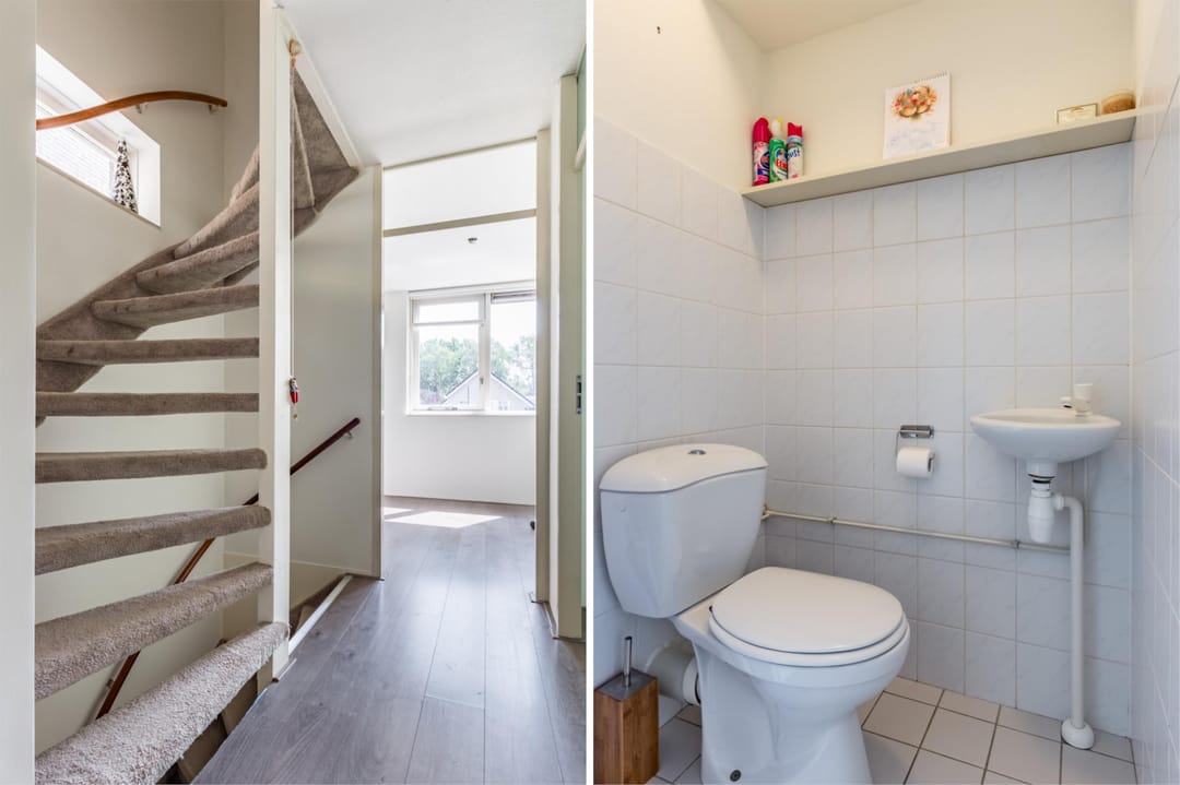 Photo 41 of Florazoom 9