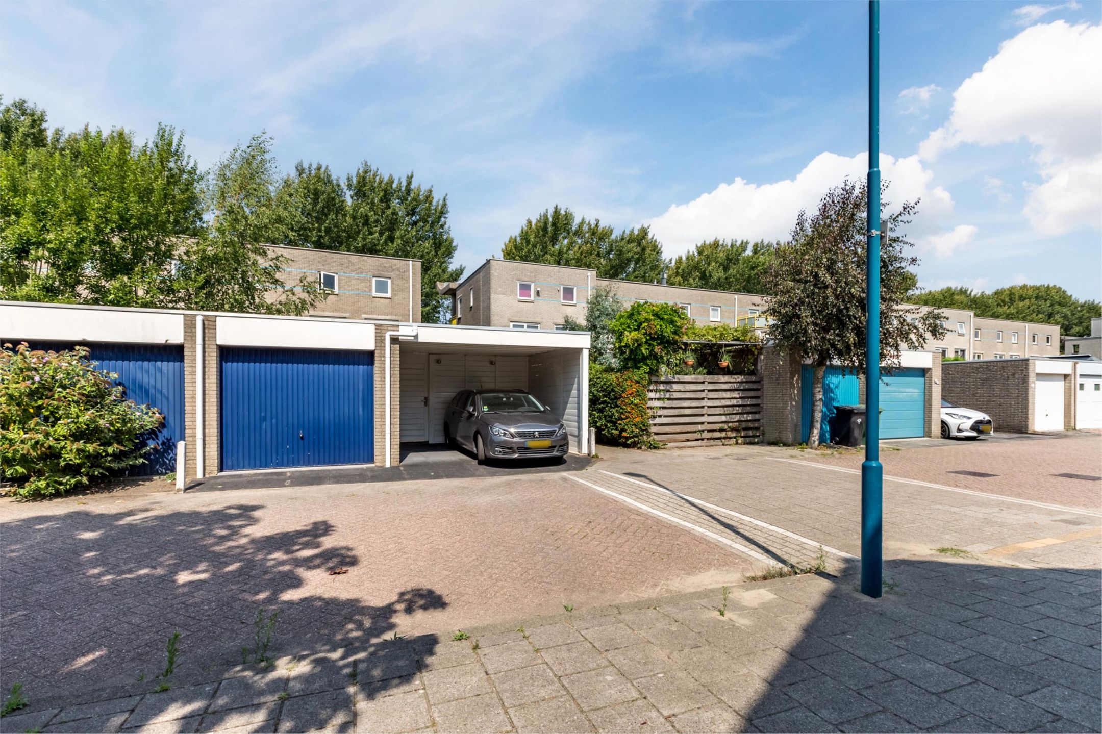 Photo 48 of Florazoom 9