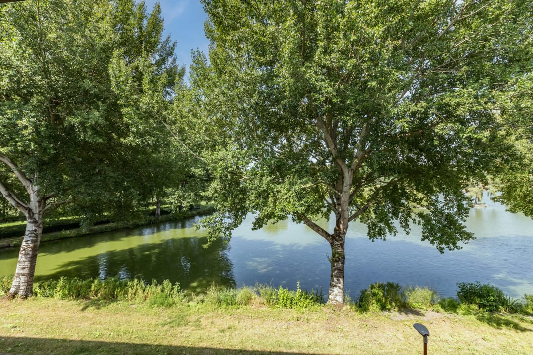 Photo 47 of Florazoom 9