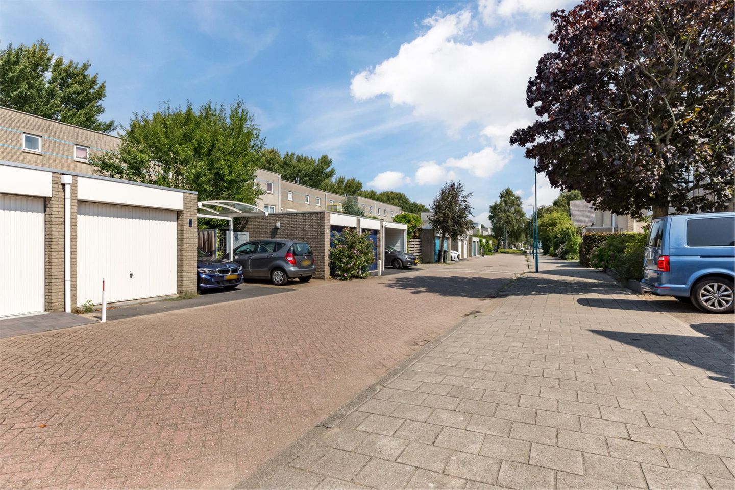 Photo 49 of Florazoom 9