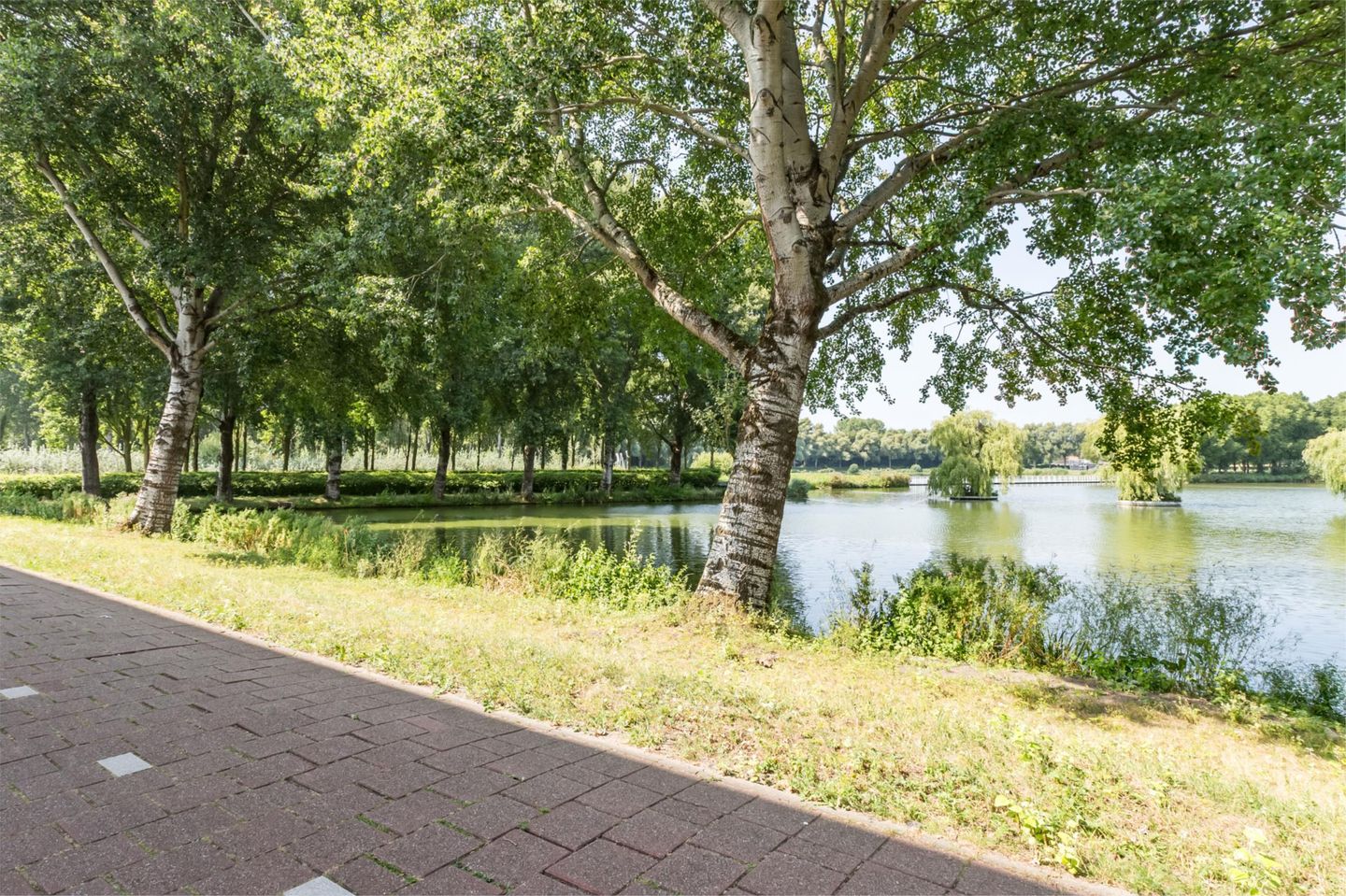 Photo 50 of Florazoom 9