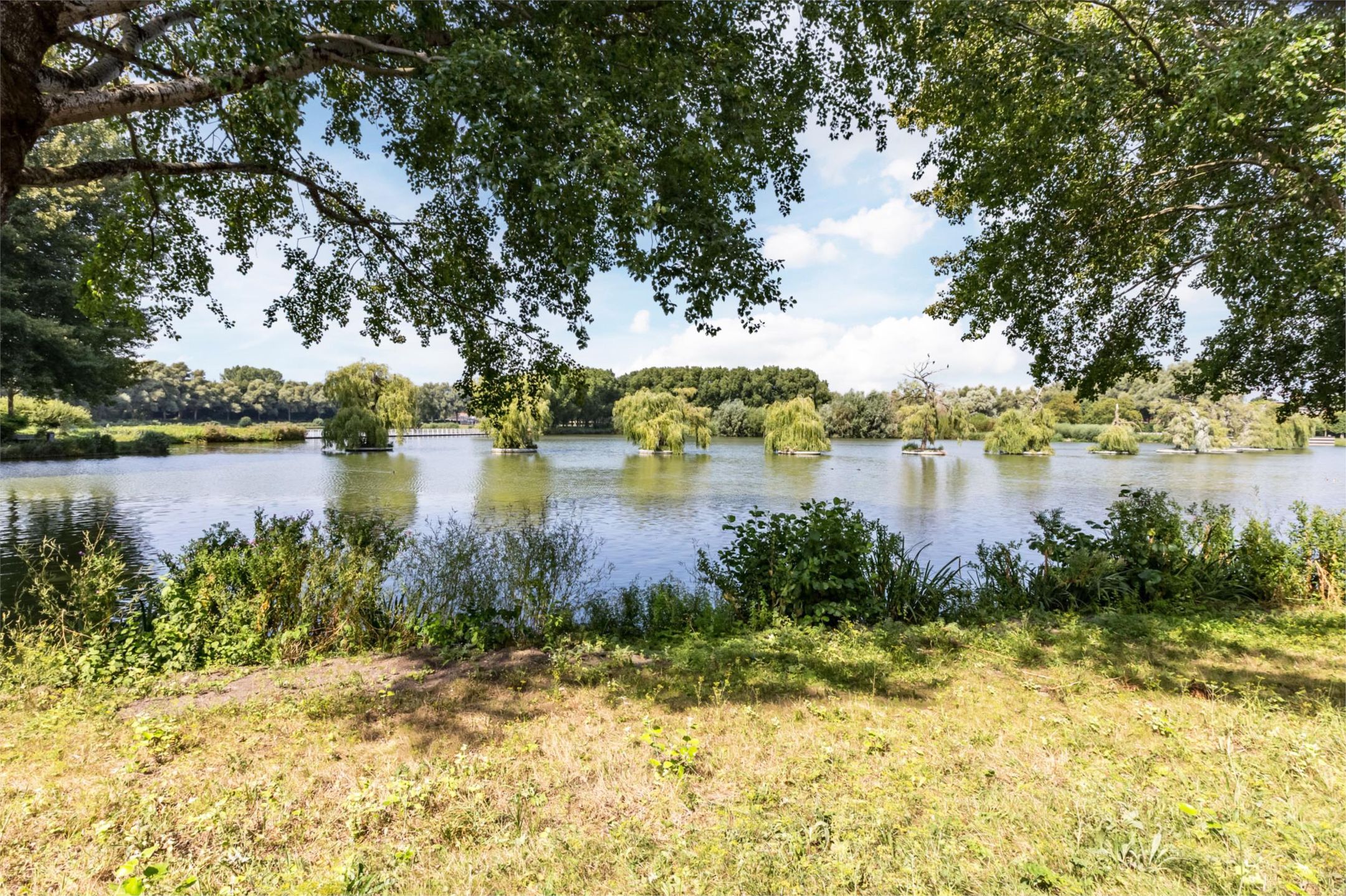 Photo 51 of Florazoom 9