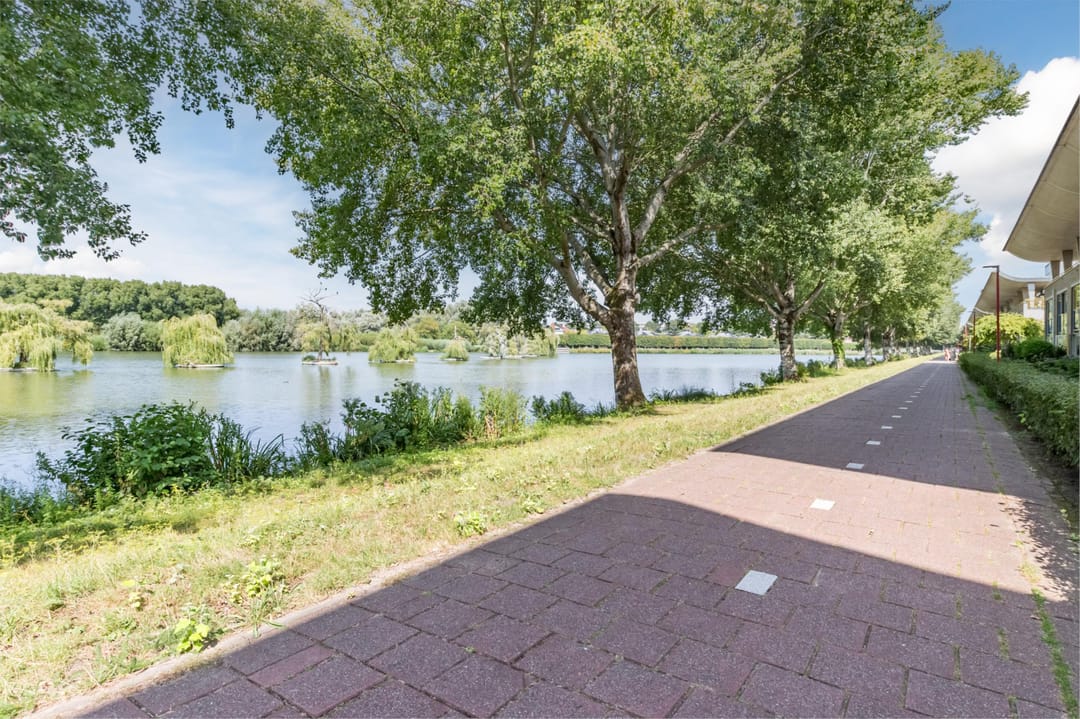 Photo 52 of Florazoom 9