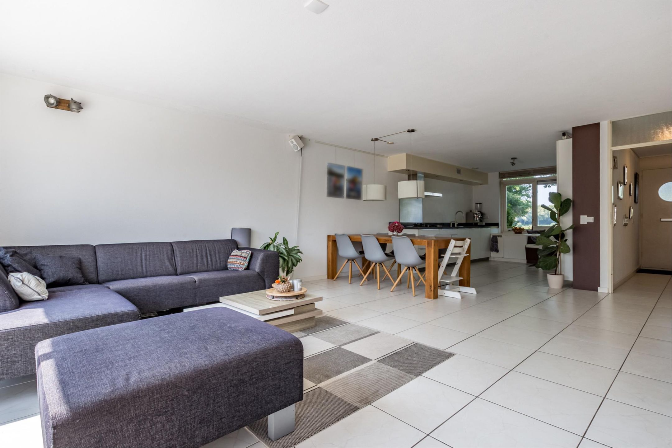 Photo 6 of Florazoom 9