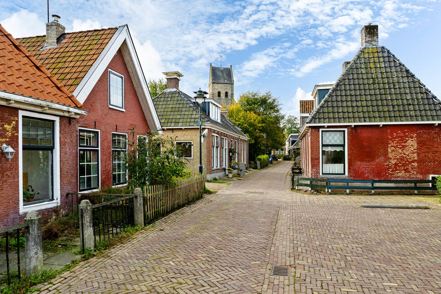 Foto 4 van Grote Reed 2