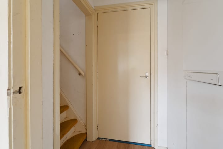 Photo 17 of Grote Reed 2