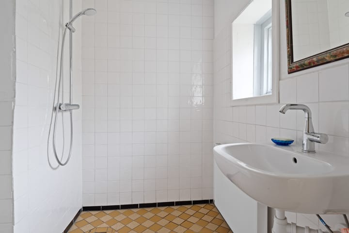 Photo 18 of Grote Reed 2