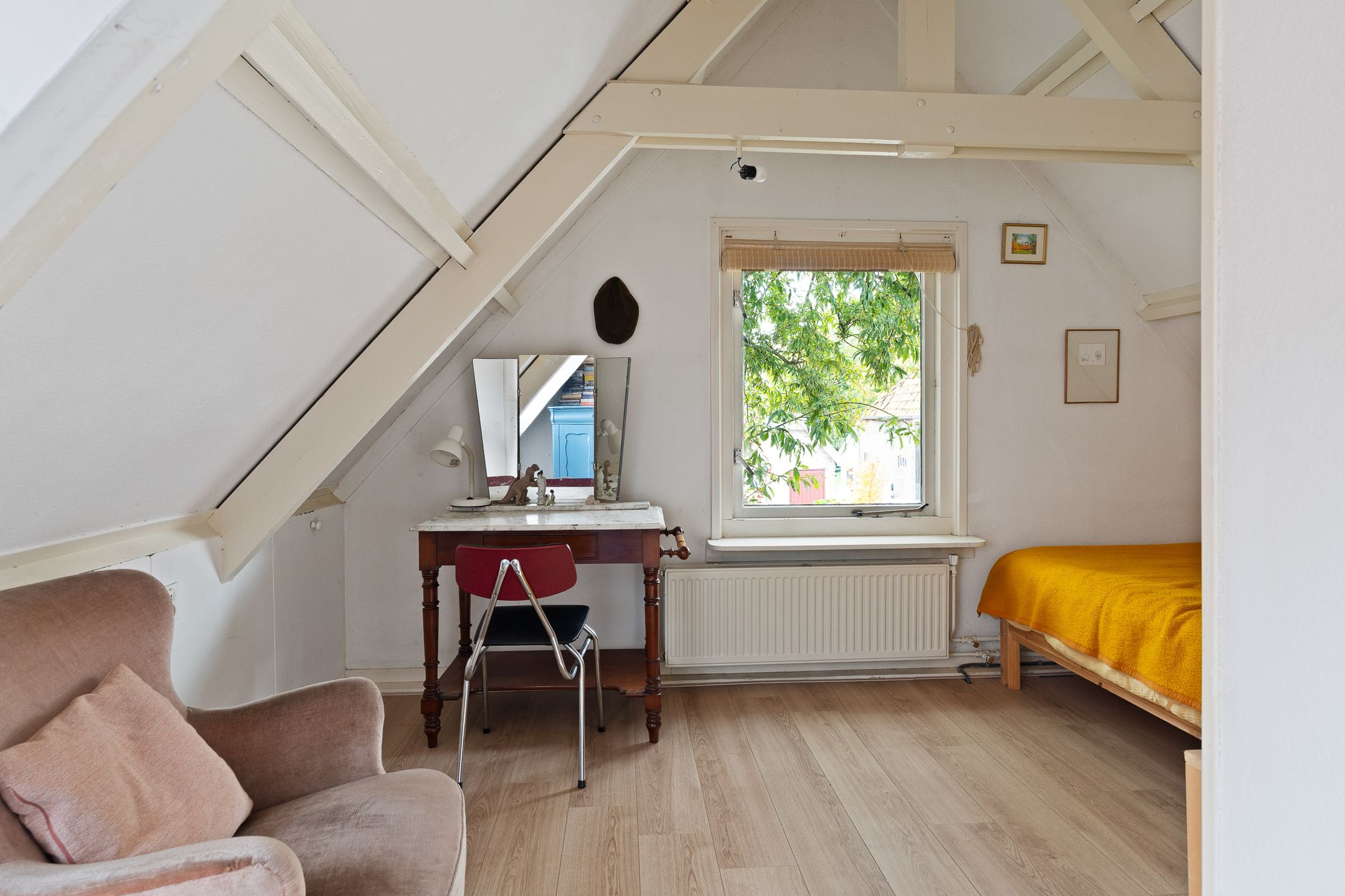 Foto 24 van Grote Reed 2