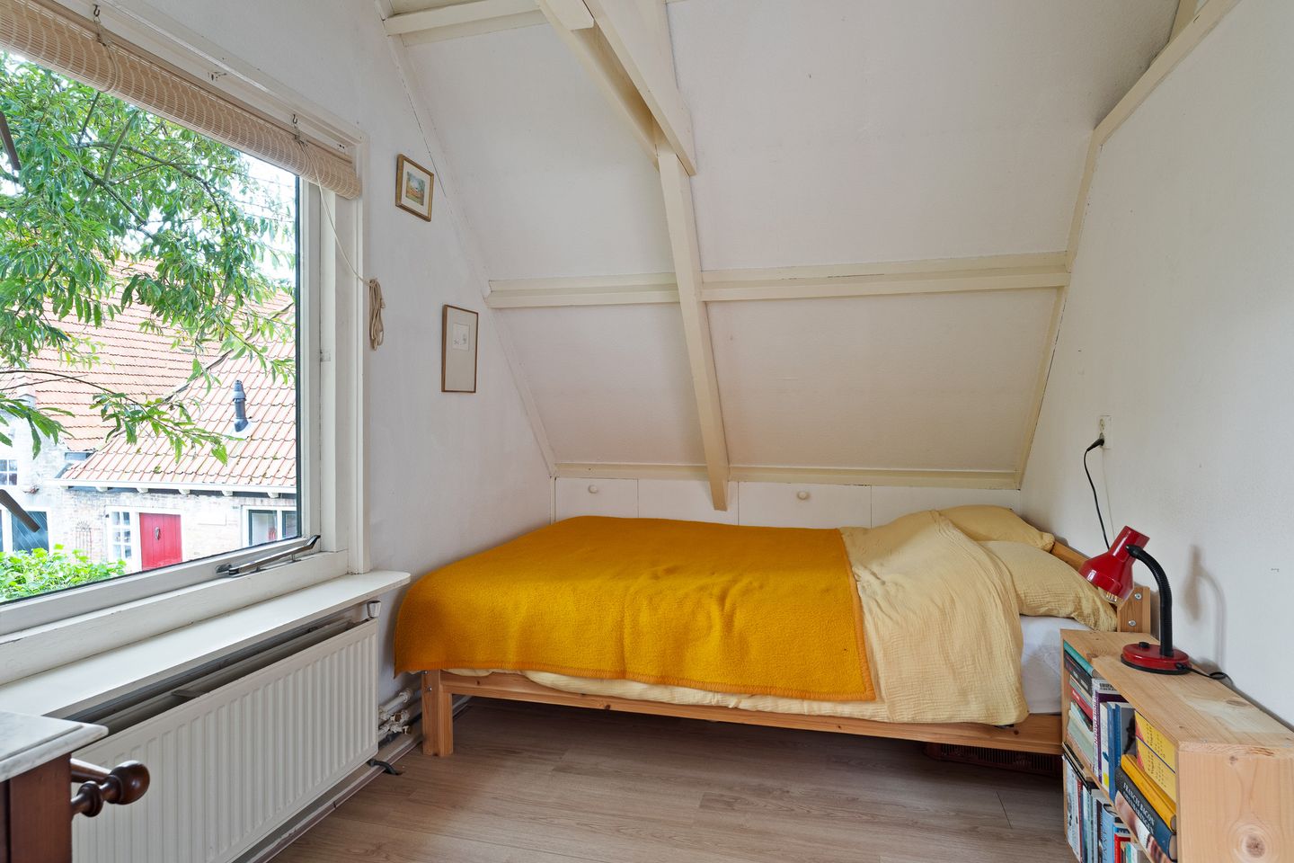 Foto 25 van Grote Reed 2