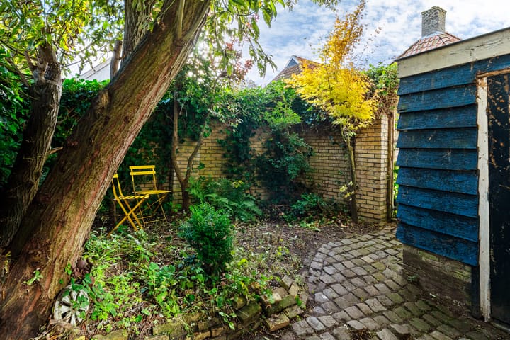 Photo 27 of Grote Reed 2