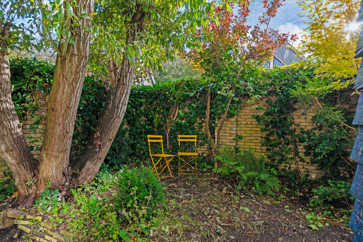 Photo 28 of Grote Reed 2