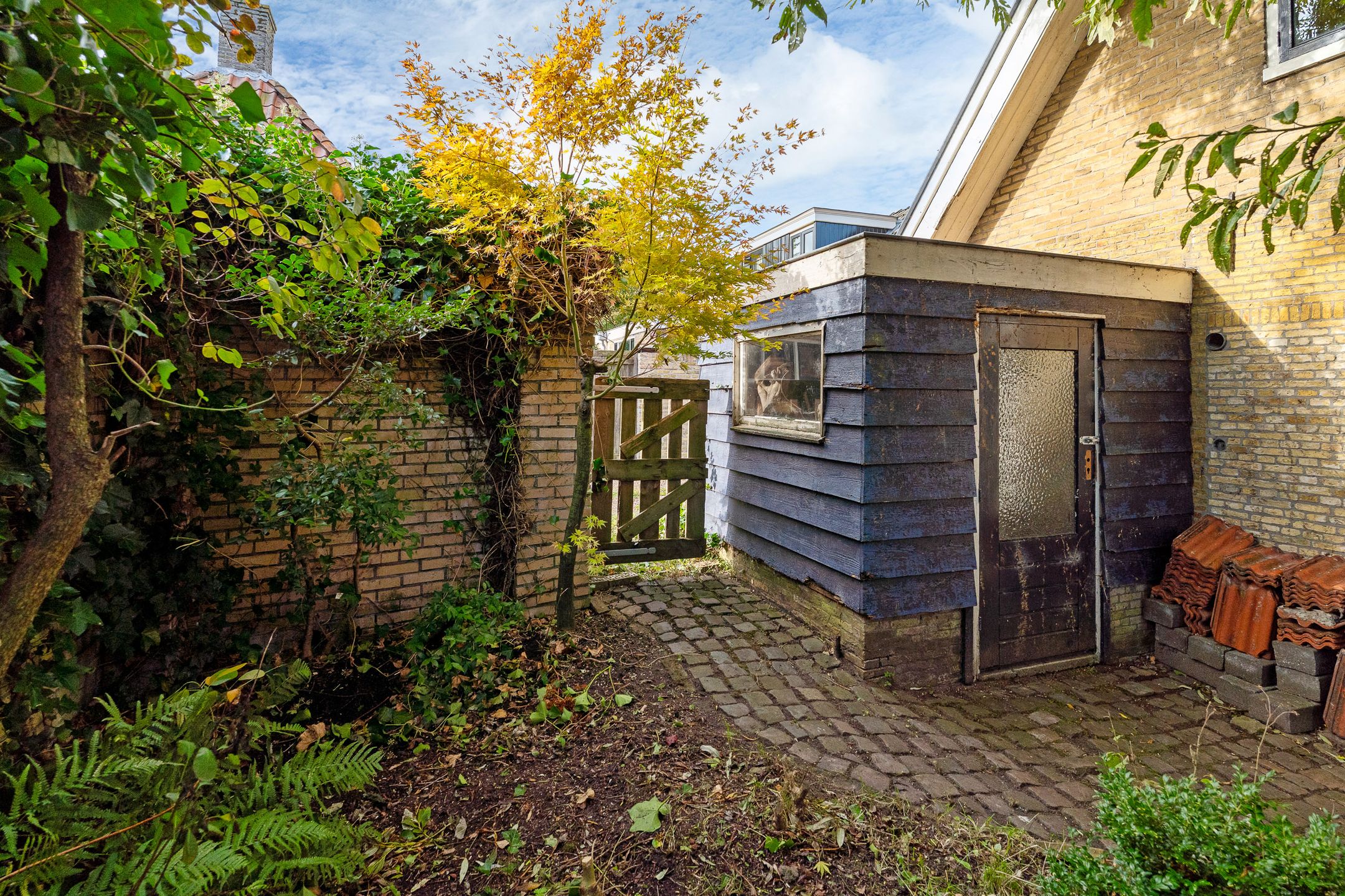 Foto 30 van Grote Reed 2