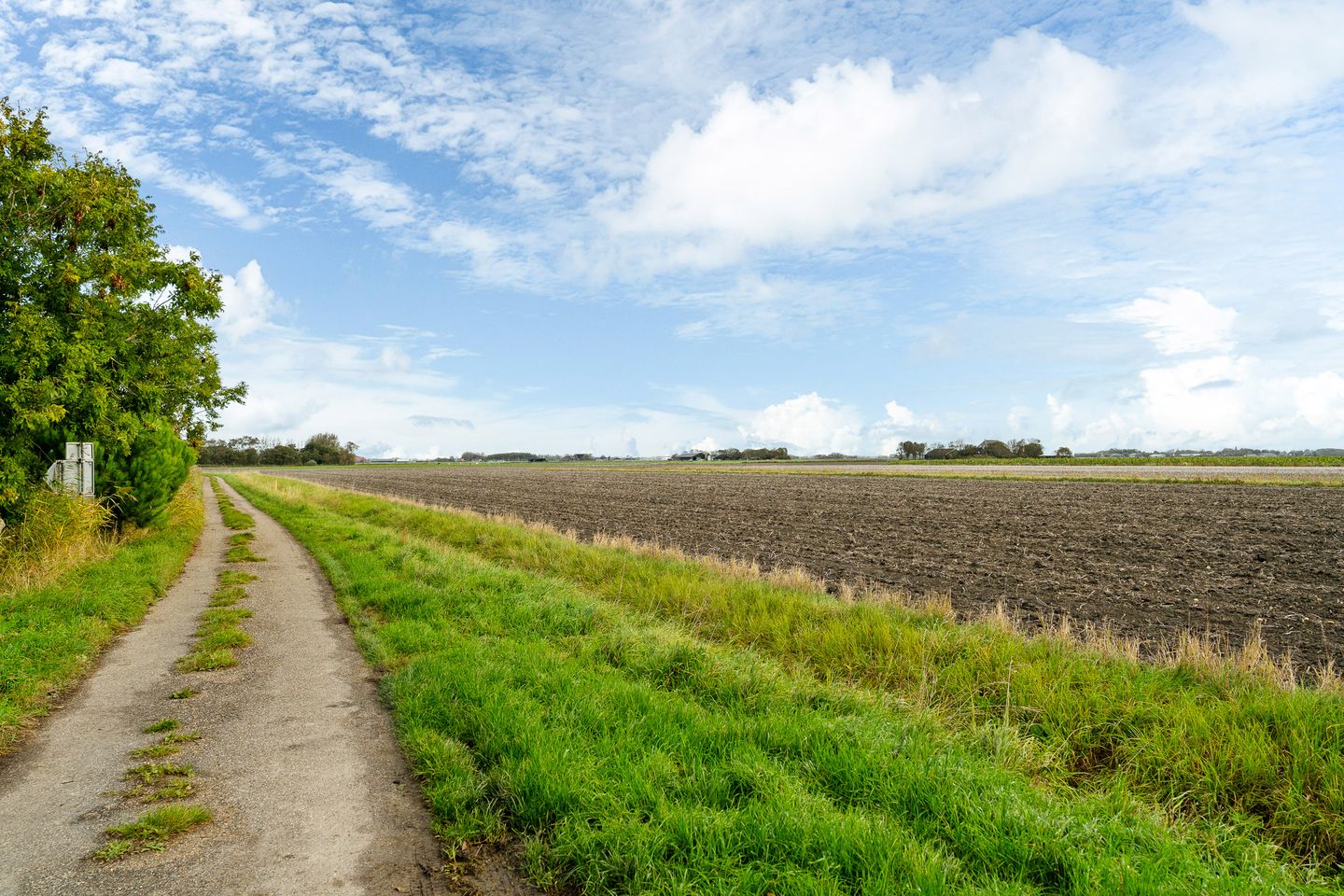 Foto 34 van Grote Reed 2