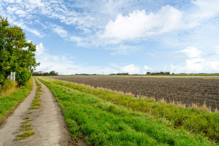 Photo 34 of Grote Reed 2