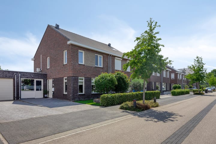 Groene Specht 12 main image