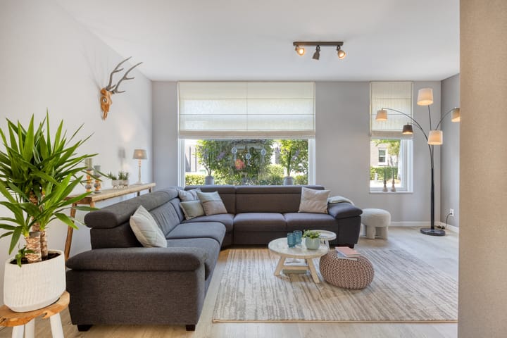 Photo 2 of Groene Specht 12