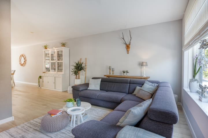 Photo 7 of Groene Specht 12