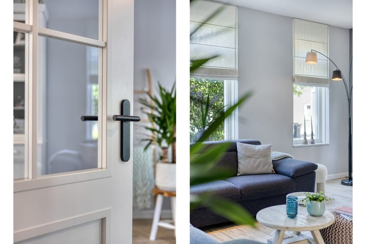 Photo 8 of Groene Specht 12