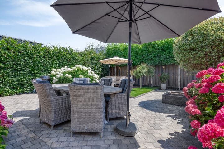 Photo 28 of Groene Specht 12