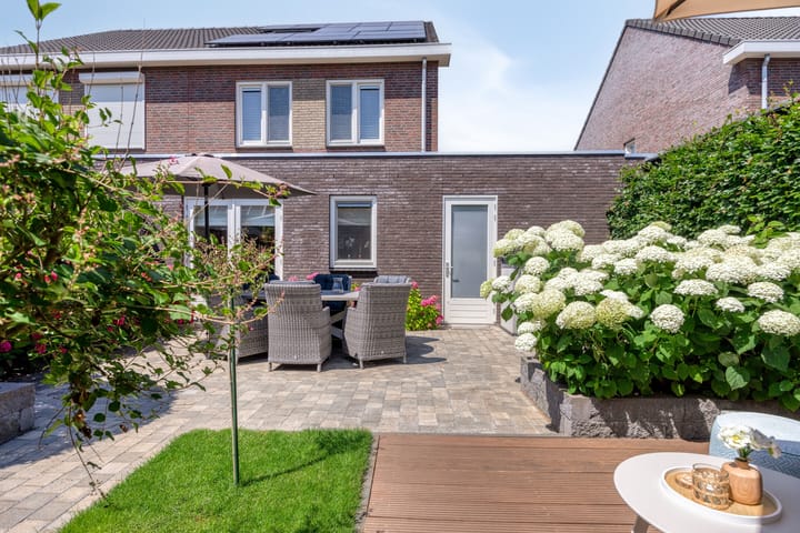 Photo 31 of Groene Specht 12