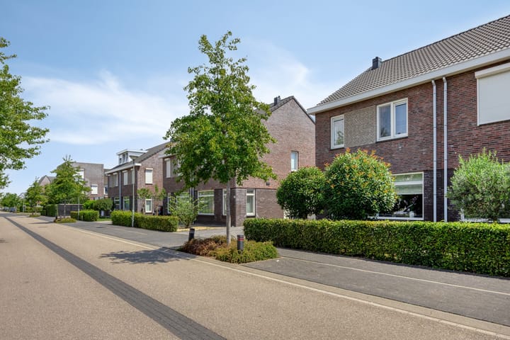 Photo 33 of Groene Specht 12