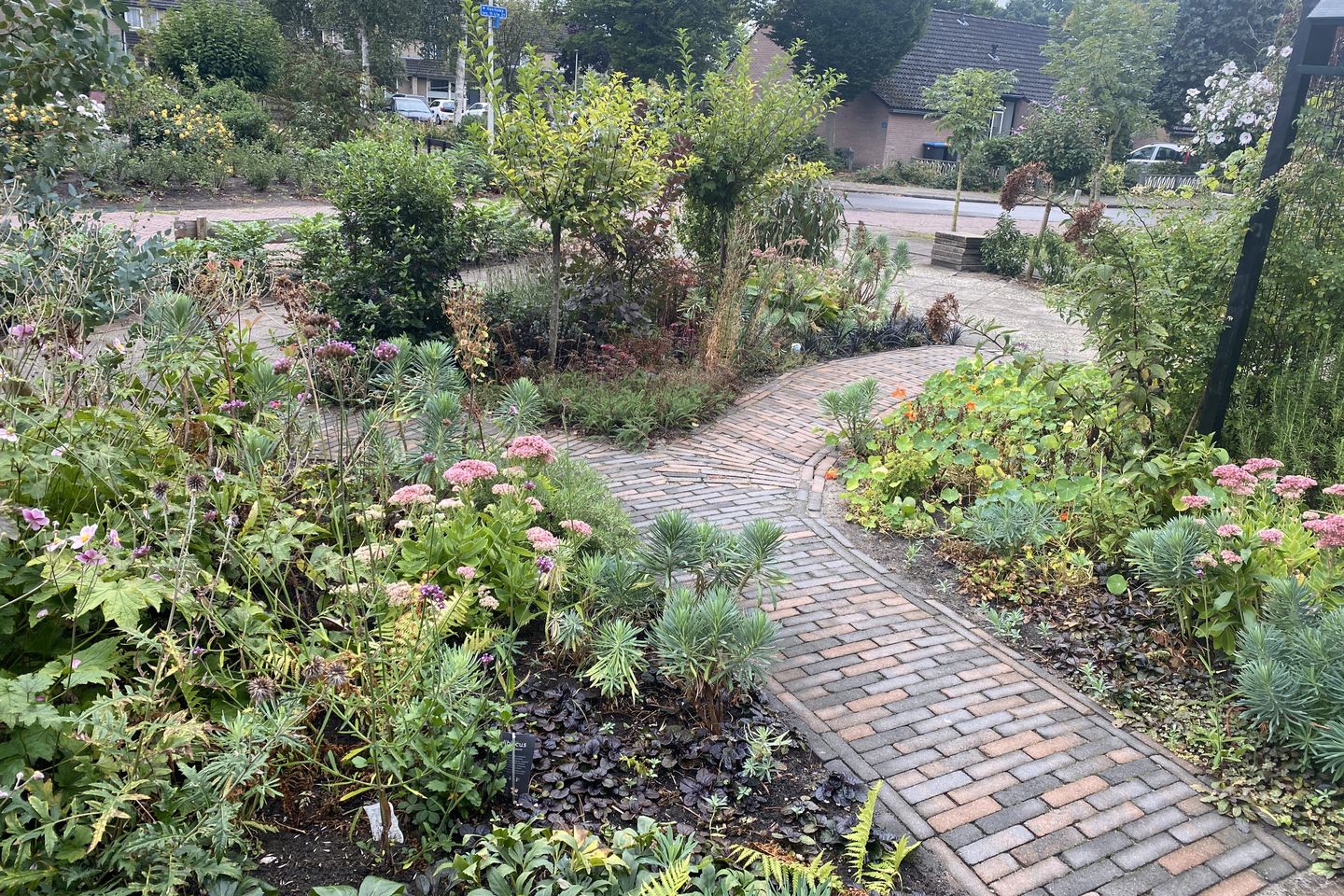 Photo 4 of Haerkamp 15