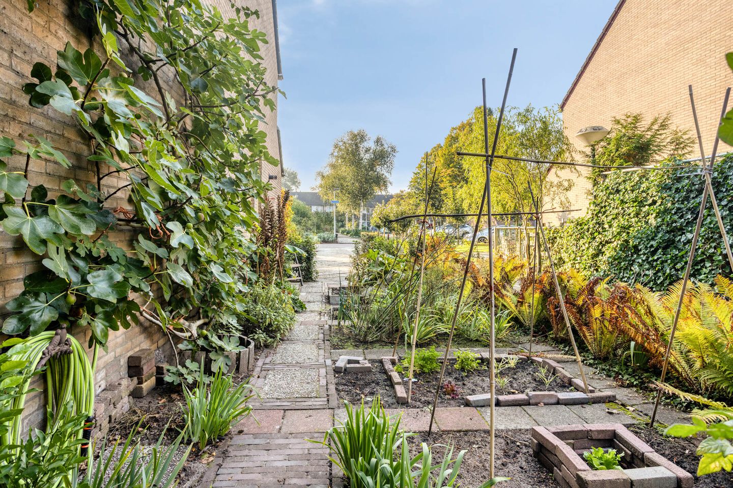 Photo 34 of Haerkamp 15