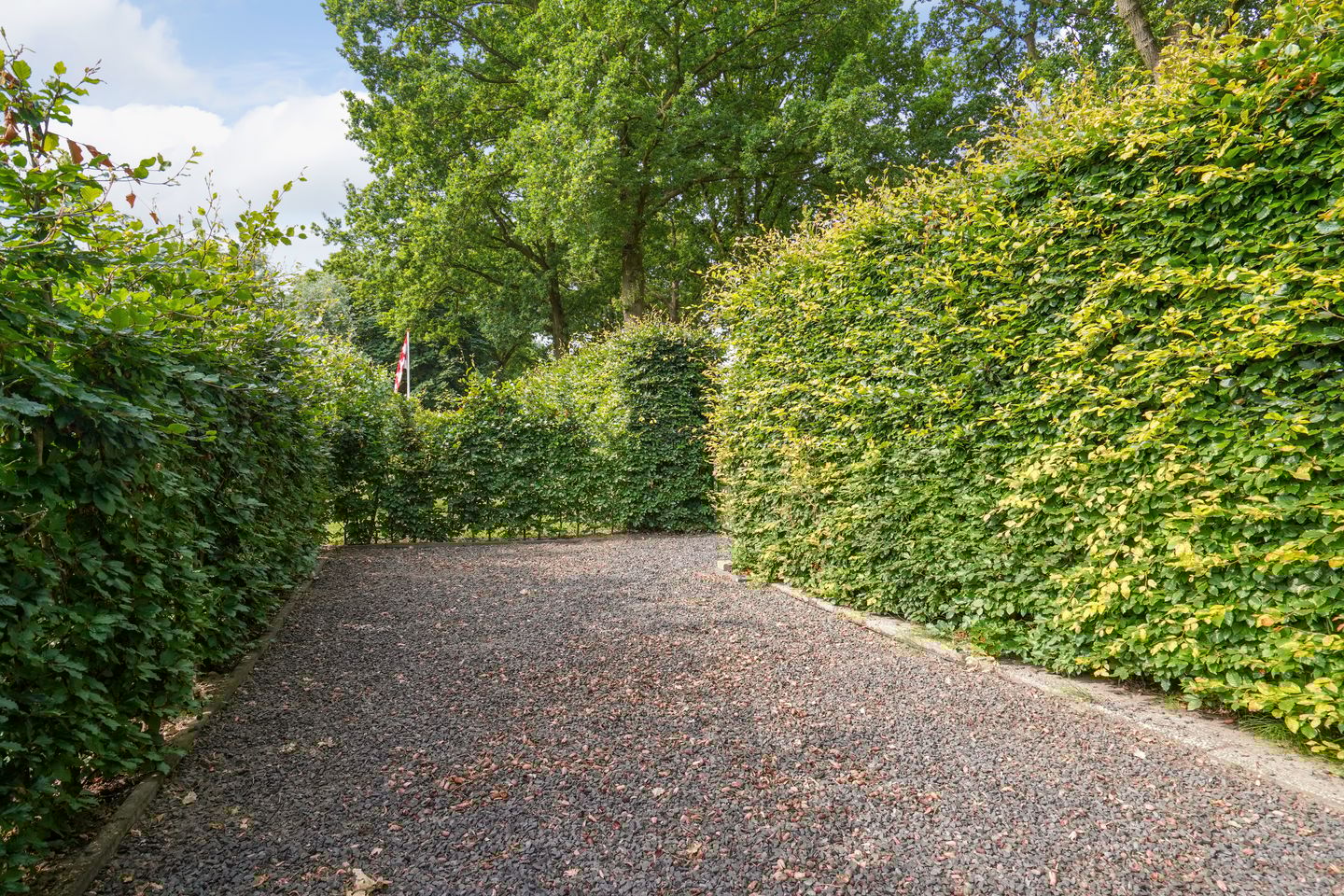 Foto 35 van Woudseweg 19