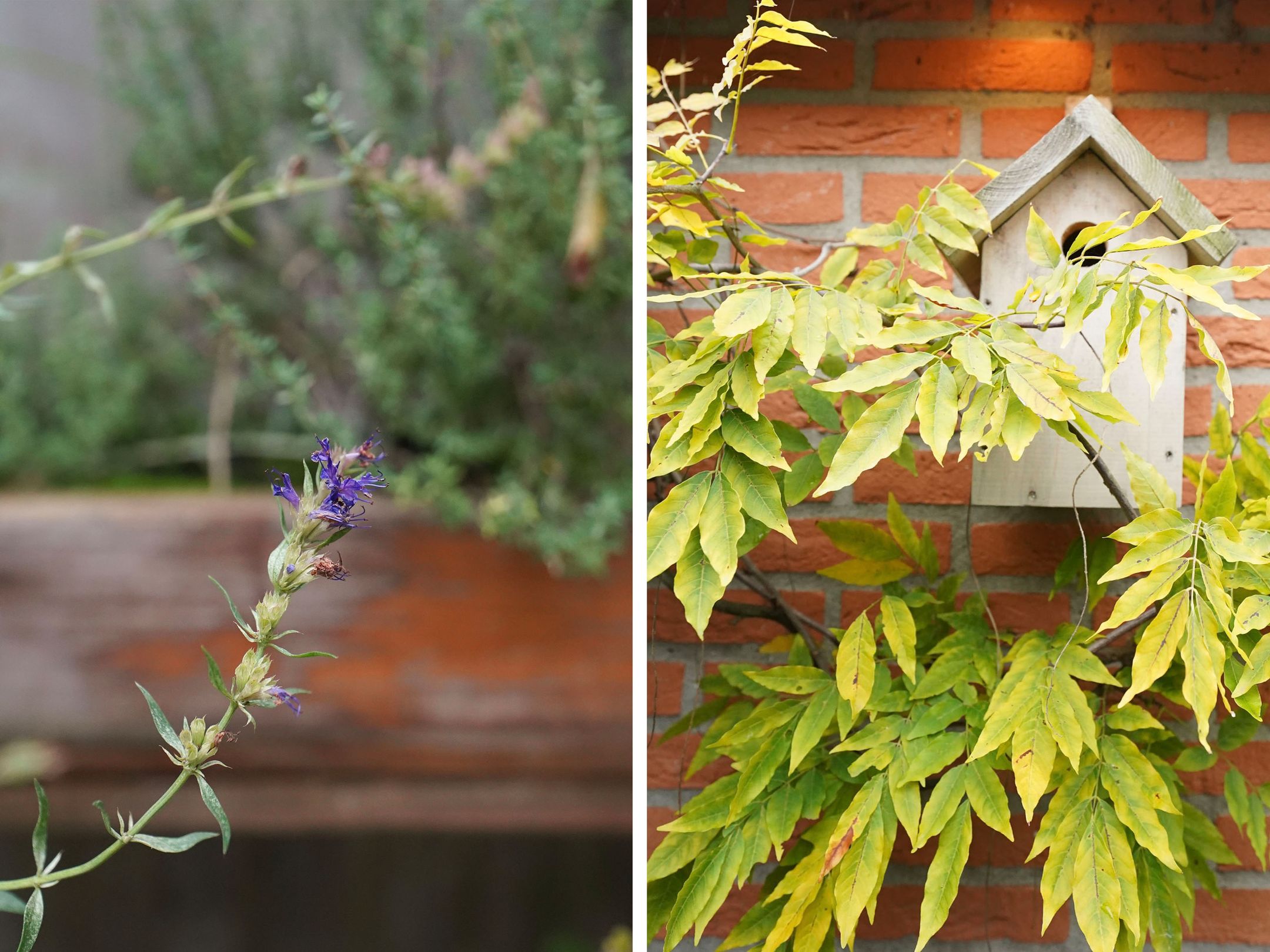 Foto 30 van Havikstraat 16