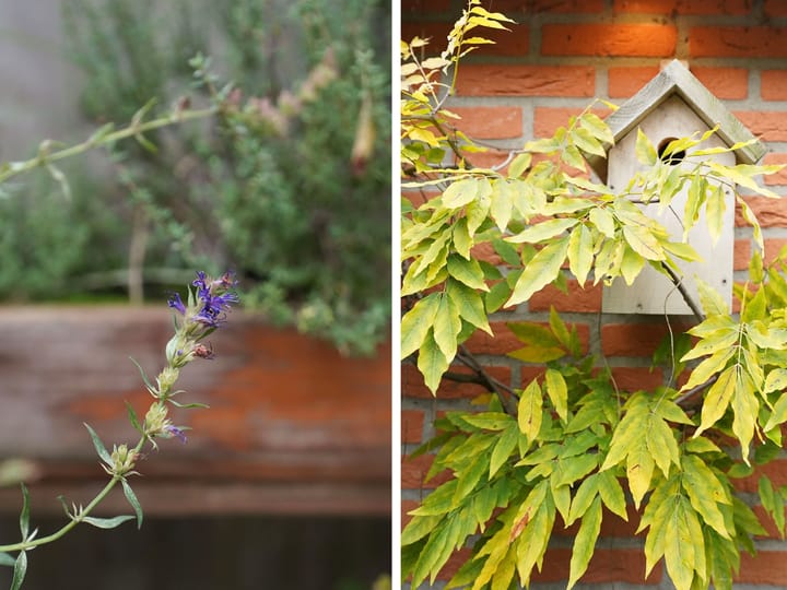 Photo 30 of Havikstraat 16