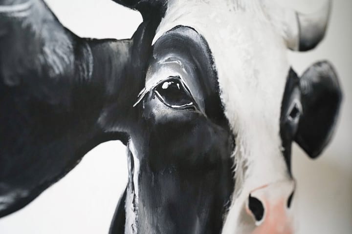 Photo 49 of Havikstraat 16