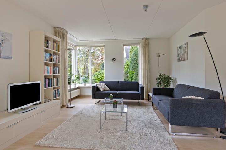 Foto 5 van de Karos 3