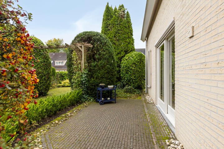 Foto 35 van de Karos 3