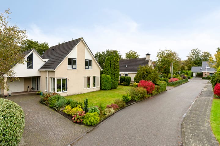 Foto 39 van de Karos 3