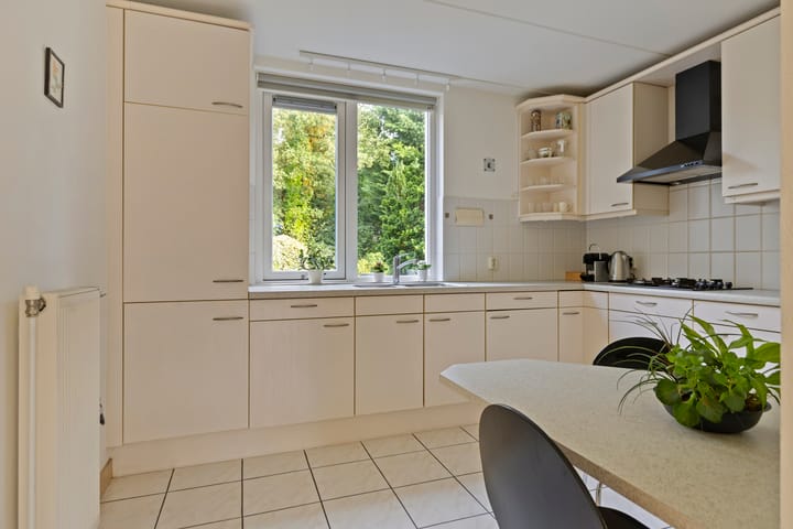 Foto 9 van de Karos 3