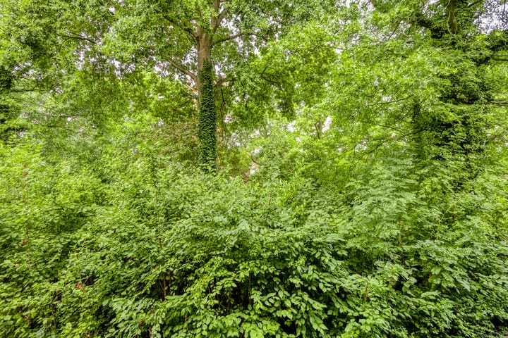 Foto 18 van Dr. Nolenslaan 82