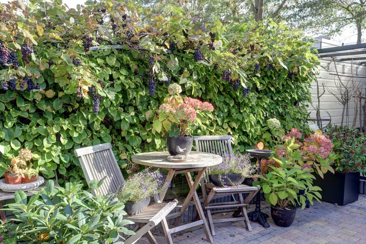 Foto 29 van Westerzicht 104