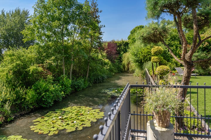 Foto 25 van Dolfijnpark 8