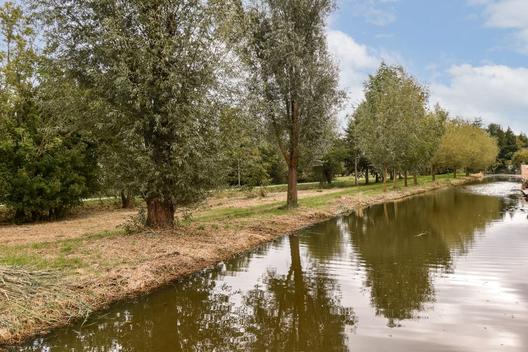 Foto 32 van Harkje Benthempad 19