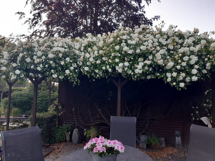 Foto 54 van Eedeweg 22