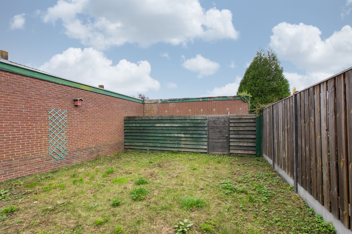 Foto 40 van van Schaikstraat 6-C