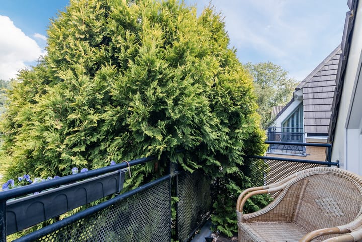 Photo 37 of Geindijk 3-A