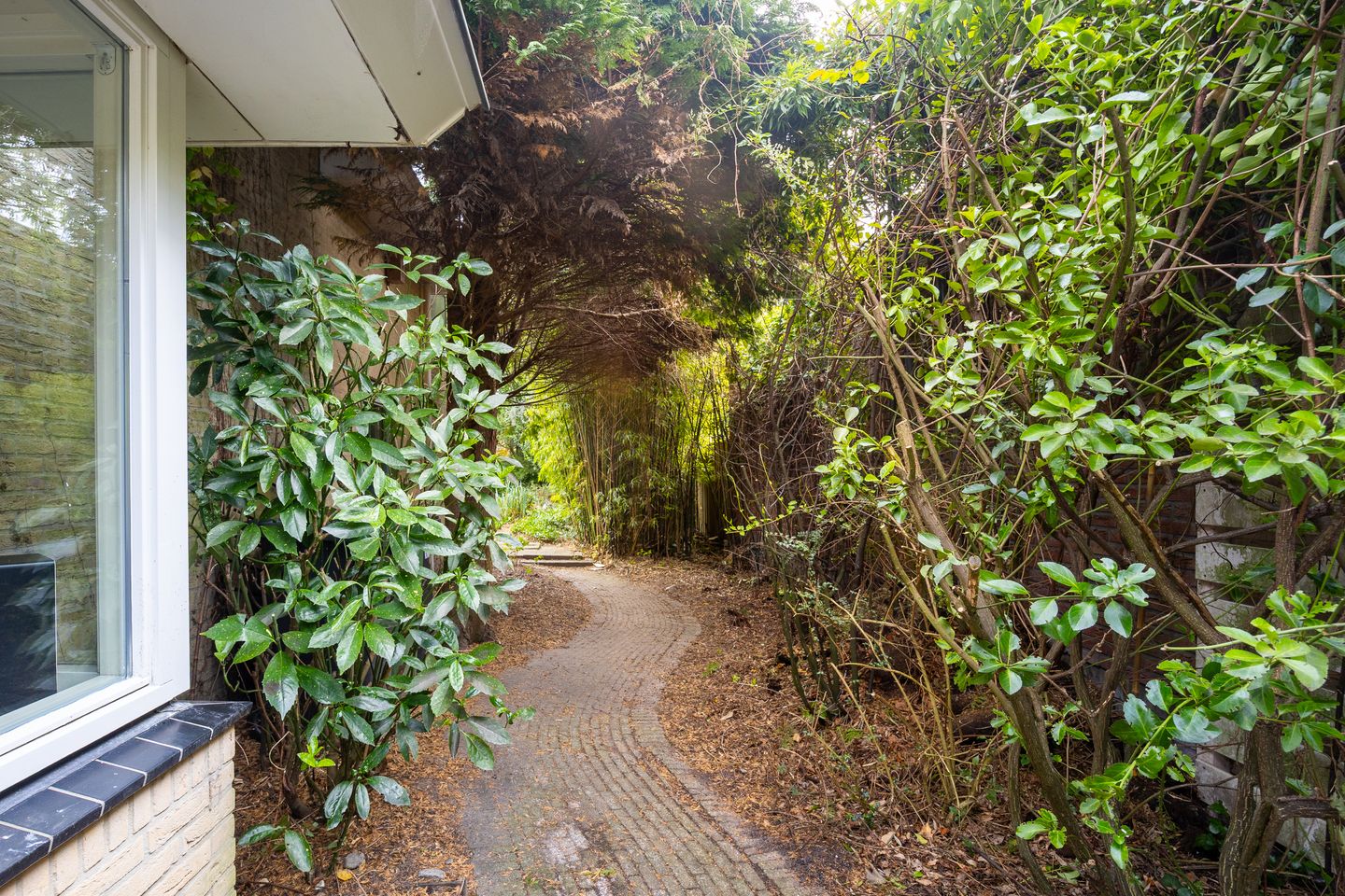 Foto 40 van Geindijk 3-A