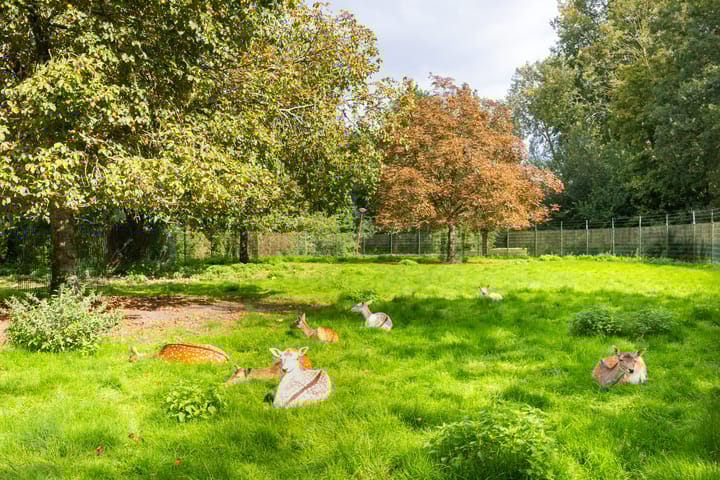 Photo 50 of Geindijk 3-A