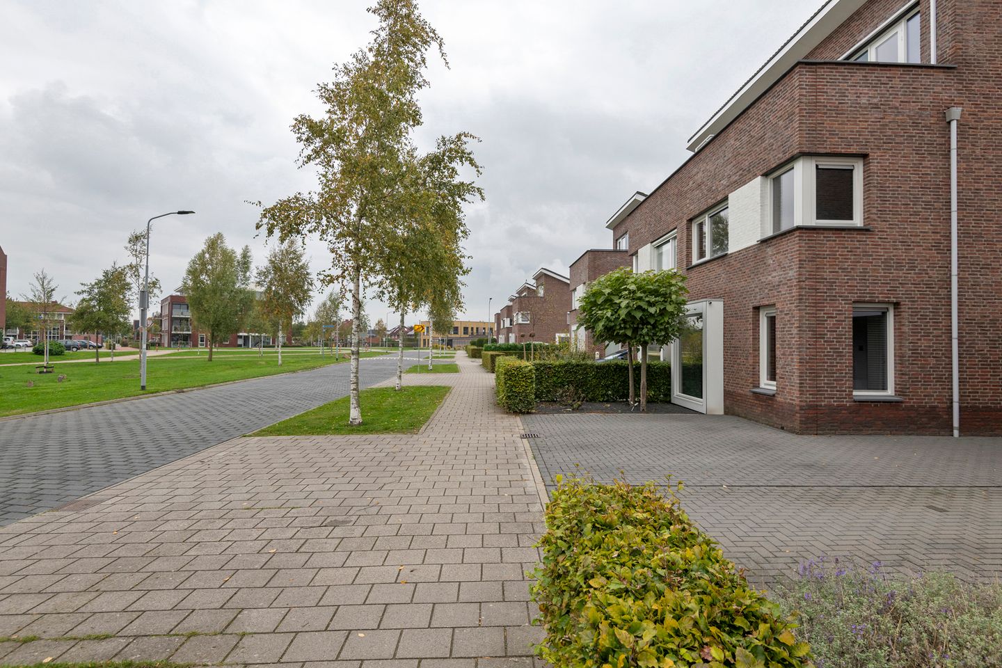 Foto 4 van Aardbeivlinder 46